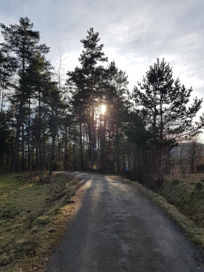 Domek Na Folwarku Tarnawa Dolna  Exteriör bild