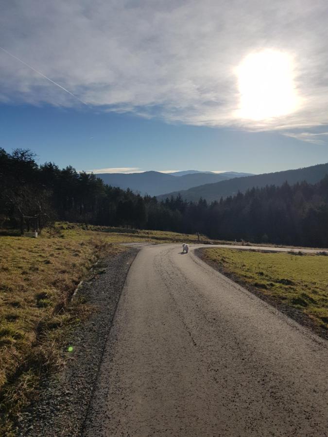 Domek Na Folwarku Tarnawa Dolna  Exteriör bild